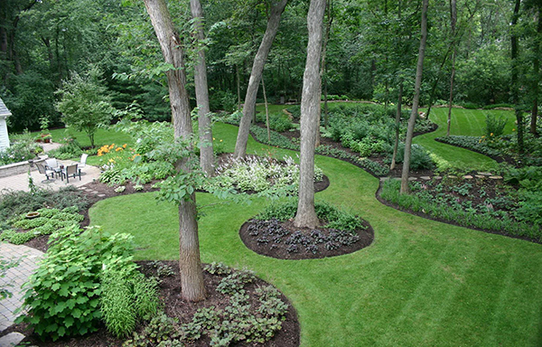 Popular Landscape Trends and Landscape Plans